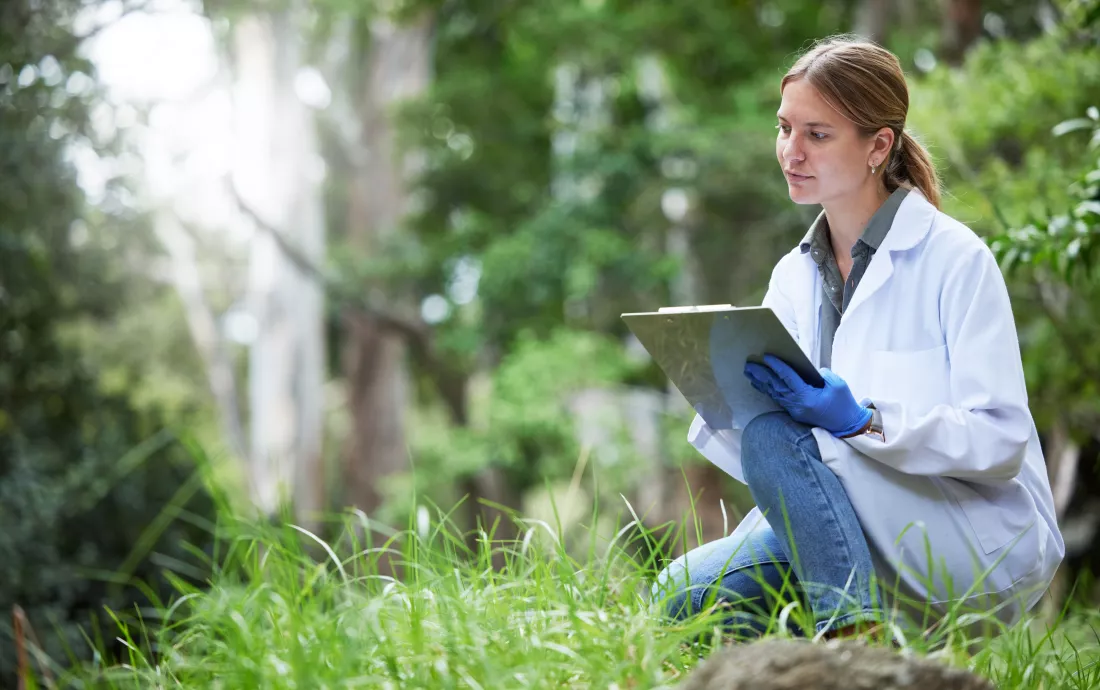 science-forest-analysis-woman-with-checklist-nature-studying-growth-trees-sustainable-plants-ecology-green-development-research-biology-scientist-with-clipboard-grass